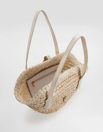 Dolce & Gabbana Coffa Capri Bag In Multicolor