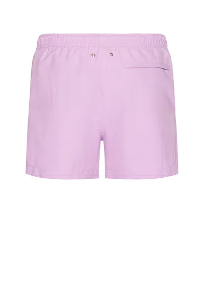 Cdlp Dry Nylon Poplin Swim Trunks In Lilac