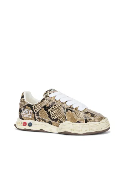 Miharayasuhiro Herbie Original Sole Printed Python Leather Low-top Sneaker In Natural