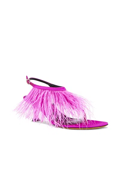 Proenza Schouler Tee Thong Feather Sandal In Fuchsia