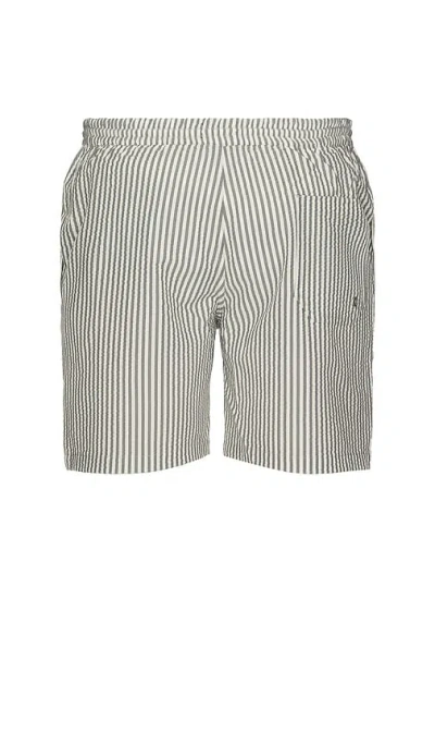 Allsaints Warden Swimshorts In Grey