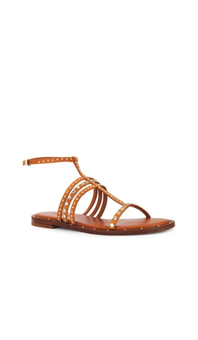 Schutz Isidora Studded Ankle Strap Sandal In Brown