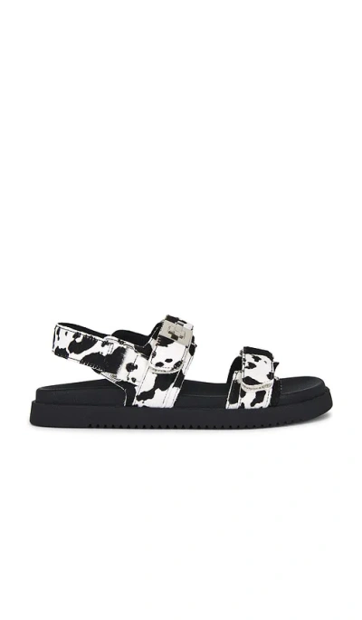 Steve Madden Mona Genuine Calf Hair Sandal In Black,white