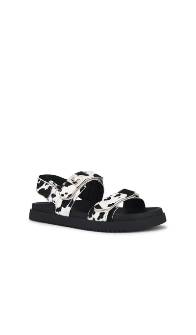 Steve Madden Mona Genuine Calf Hair Sandal In Black,white