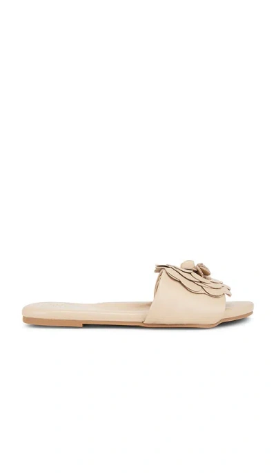 Solei Sea Dahlie Sandal In Nude