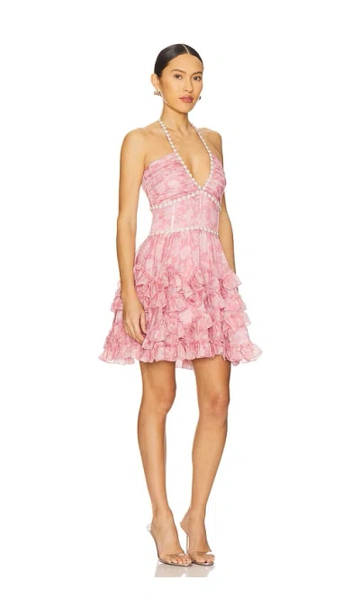 V. Chapman Sophie Dress In Multi