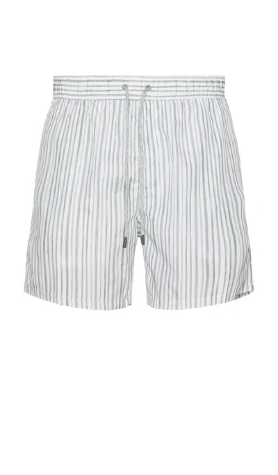 Vintage Summer Ponji Swim Short In Green