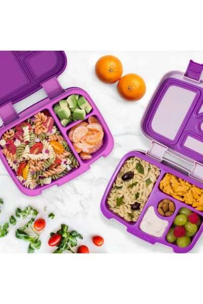 Bentgo 2-pack Fresh And Kids In Purple