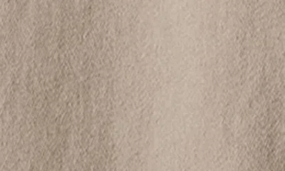 Eileen Fisher Classic Collar Organic Cotton Shirt Jacket In Reed