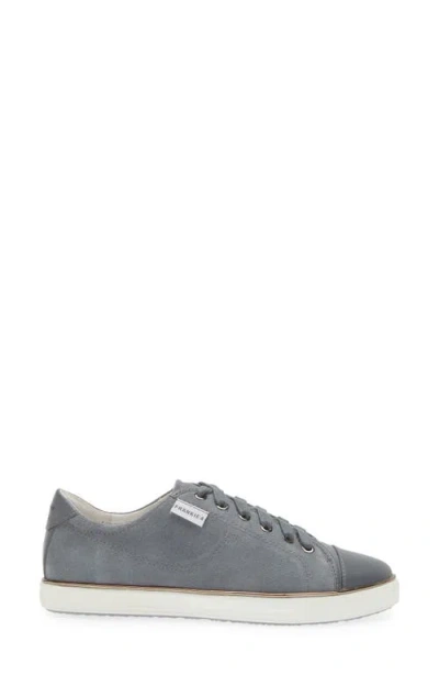 Frankie4 Nat Iii Cap Toe Sneaker In Denim Suede