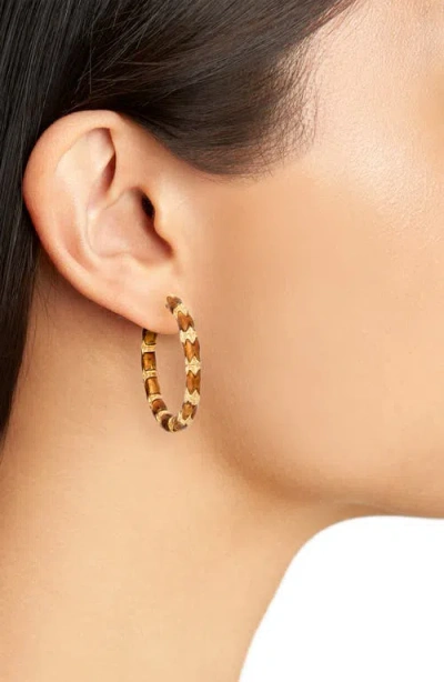 Kenneth Jay Lane Small Bamboo Hoop Earrings In Polished Gold