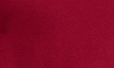 X-ray Xray Flex Crewneck T-shirt In Burgundy