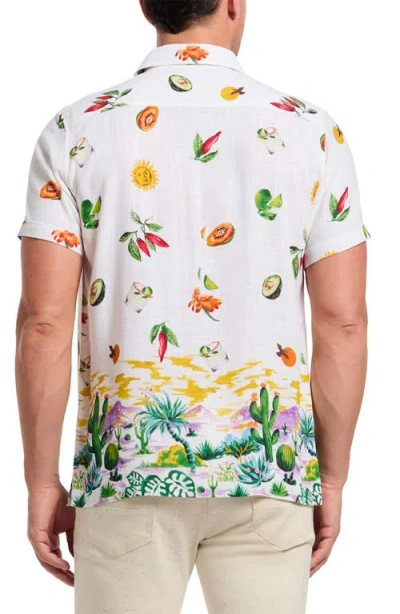 Robert Graham Mezcal Print Short Sleeve Button-up Shirt In Multi