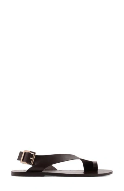 Mango Toe Loop Flat Sandal In Chocolate