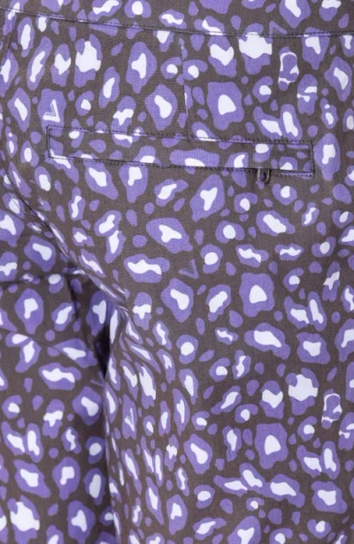 Vast Leopard Print Ii Stretch Board Shorts In Plum Multi