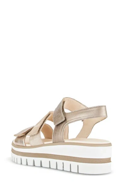 Gabor Strappy Wedge Sandal In Mutaro