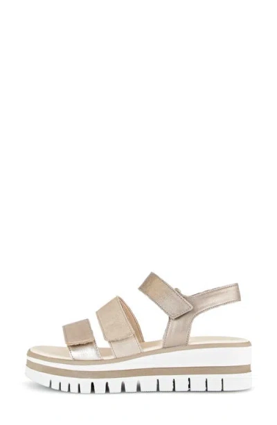 Gabor Strappy Wedge Sandal In Mutaro