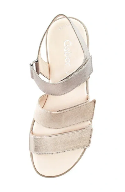 Gabor Strappy Wedge Sandal In Mutaro