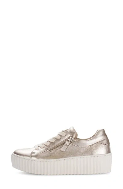 Gabor 63.200 Platform Sneaker In Puder