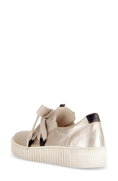 Gabor 63.333 Platform Sneaker In Puder