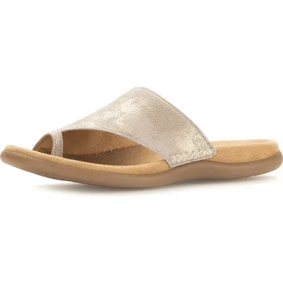 Gabor 43.700 Flip Flop In Muschel