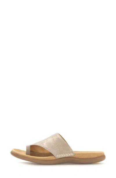 Gabor 43.700 Flip Flop In Muschel