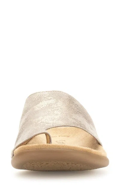 Gabor 43.700 Flip Flop In Muschel