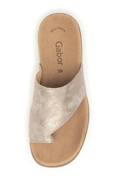 Gabor 43.700 Flip Flop In Muschel
