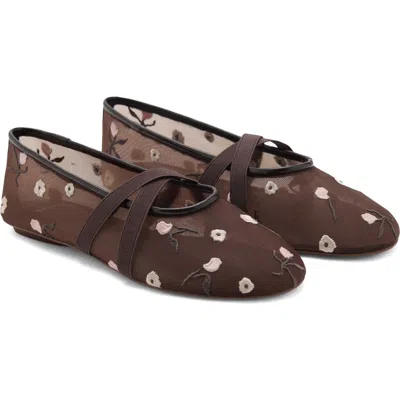 Mango Ballerina Flats With Cross Straps With Embroidered Flowers Brown In Brown
