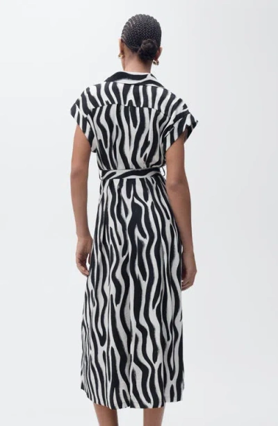 Mango Zebra Print Belted Midi Shirtdress In Black