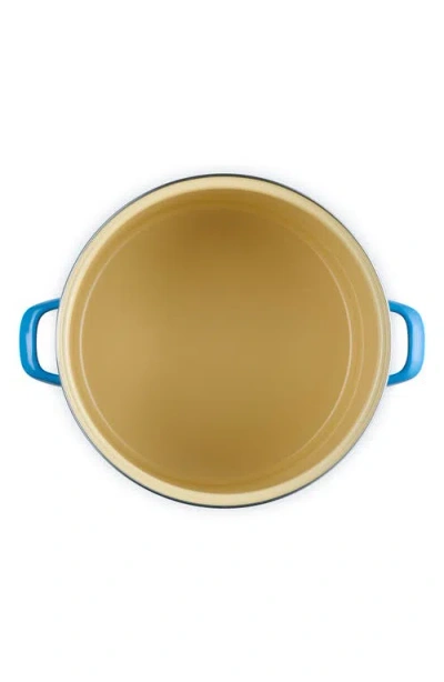 Le Creuset 16-quart Enameled Stainless Steel Stock Pot In Marseille