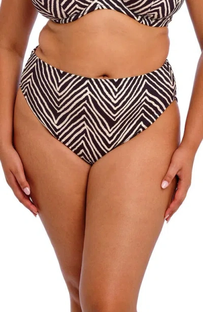 Elomi Fiji Falls Print Swim Bottoms In Black