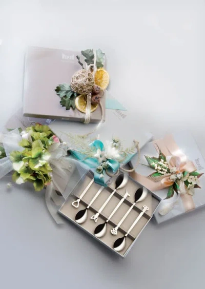 Mepra Evento 6-piece Coffee Spoons Gift Set In Silver