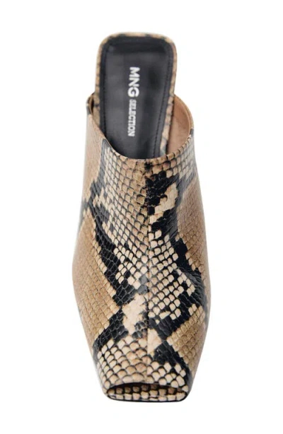 Mango Snakeskin Print Heeled Mule In Beige