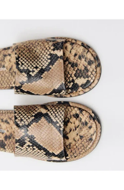 Mango Snake Embossed Slide Sandal In Beige
