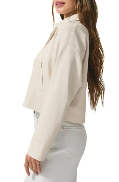 Splendid Destiny Crop Jacket In Moonstone
