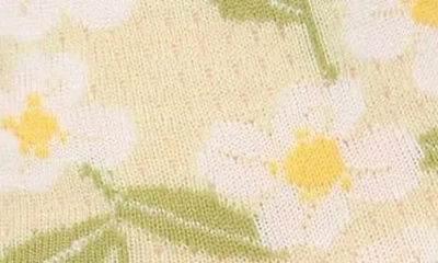Memoi Daisy Pointelle Crew Socks In Mint