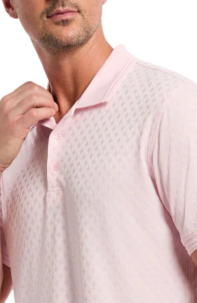 Robert Graham Elias Basket Weave Jacquard Knit Polo In Pink