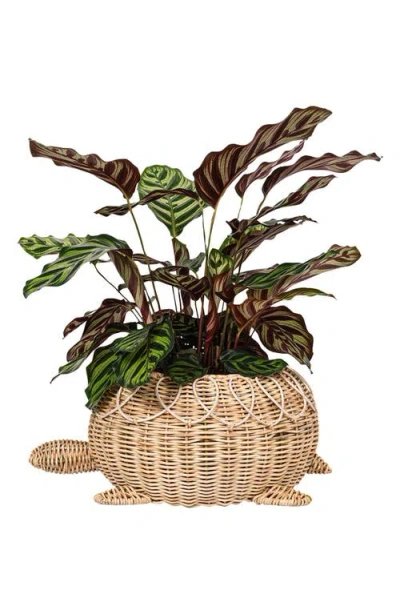 Juliska Provence Rattan Turtle Bowl In Whitewash