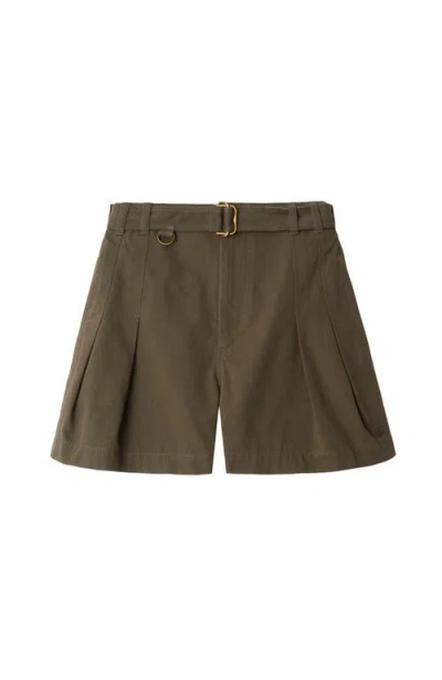 Burberry Cotton Gabardine Belted Shorts In Brown