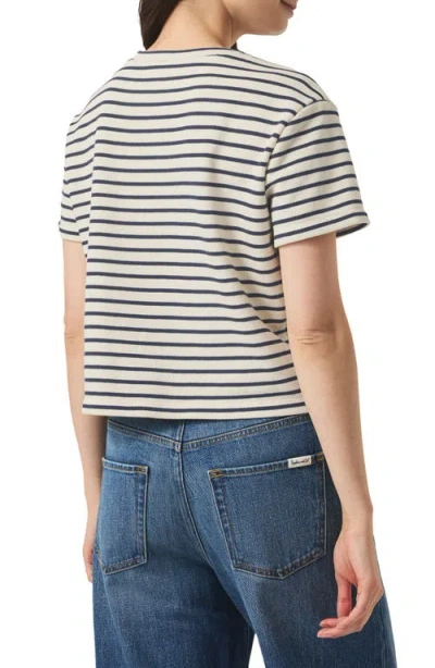 Splendid Stripe Boxy Crop T-shirt In Navy/white