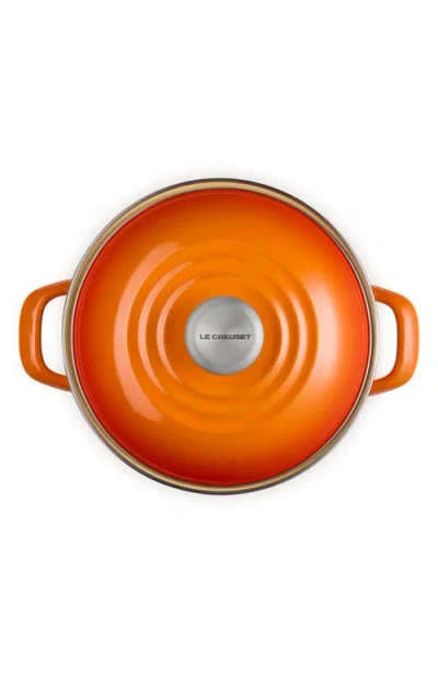 Le Creuset 6-quart Enameled Stainless Steel Stock Pot In Flame