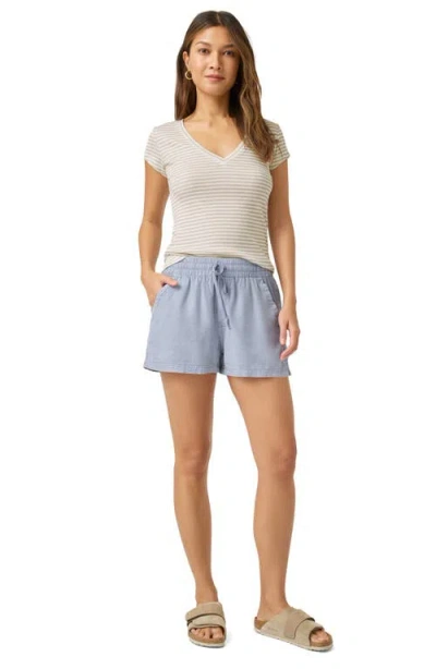 Splendid Faye Stripe V-neck T-shirt In Fawn Stripe
