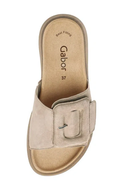 Gabor Buckled Platform Slide Sandal In Desert