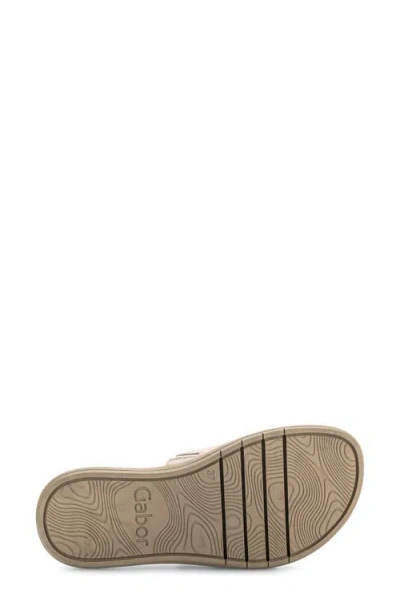 Gabor Buckled Platform Slide Sandal In Desert