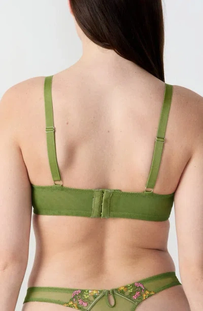 Etam Gourmandise Underwire Unlined Bra In Green