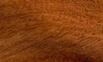 Juliska Bilbao Wood Chip & Dip Bowl In Brown