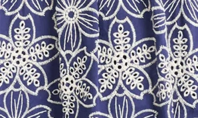 Maggy London Embroidered Flare Dress In Blue/white