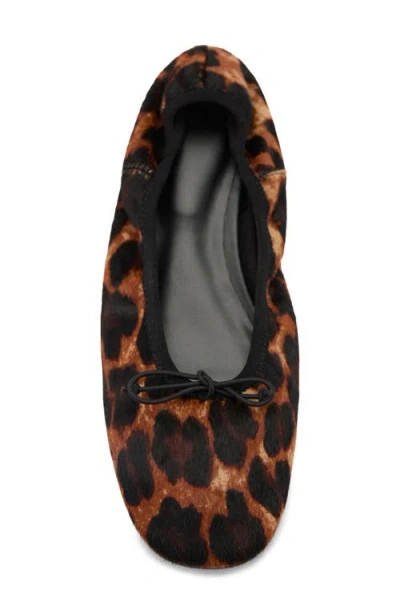Mango Leopard Print Genuine Calf Hair Ballerina Flat In Black