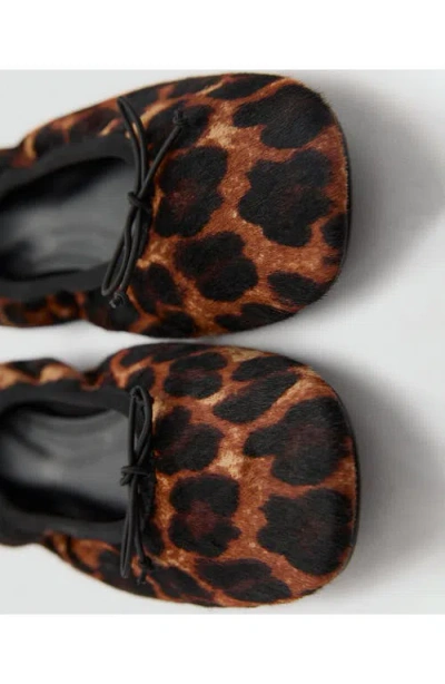 Mango Leopard Print Genuine Calf Hair Ballerina Flat In Black